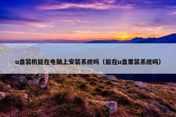 u盘装机能在电脑上安装系统吗（能在u盘里装系统吗）
