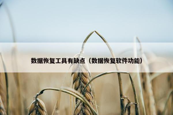 数据恢复工具有缺点（数据恢复软件功能）