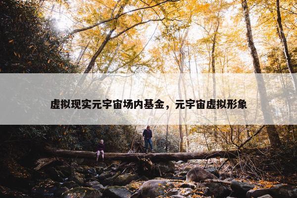 虚拟现实元宇宙场内基金，元宇宙虚拟形象