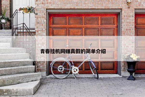 青春挂机网赚真假的简单介绍