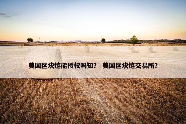 美国区块链能授权吗知？ 美国区块链交易所？