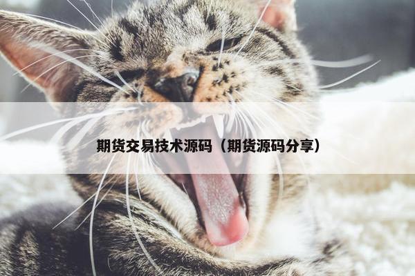 期货交易技术源码（期货源码分享）