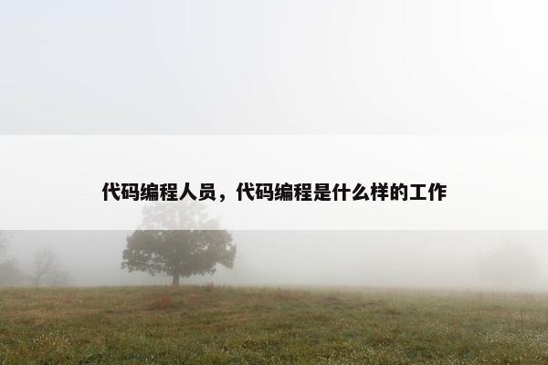 代码编程人员，代码编程是什么样的工作