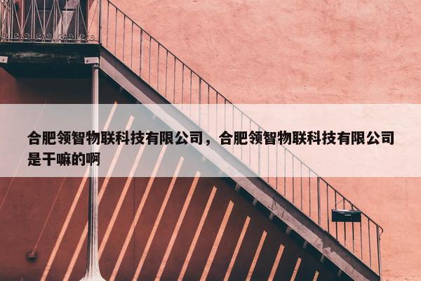 合肥领智物联科技有限公司，合肥领智物联科技有限公司是干嘛的啊