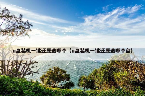 u盘装机一键还原选哪个（u盘装机一键还原选哪个盘）