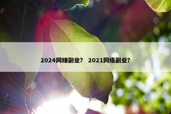 2024网赚副业？ 2021网络副业？