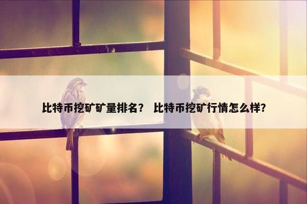 比特币挖矿矿量排名？ 比特币挖矿行情怎么样？