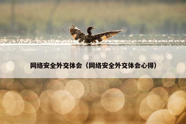 网络安全外交体会（网络安全外交体会心得）