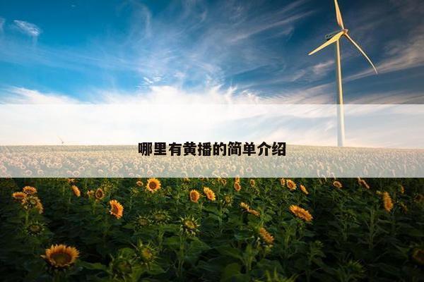 哪里有黄播的简单介绍
