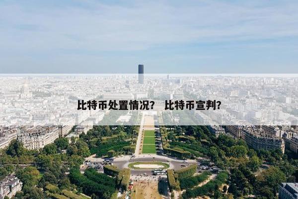 比特币处置情况？ 比特币宣判？