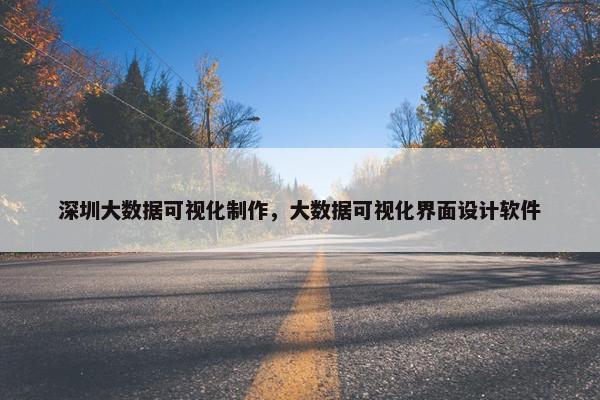 深圳大数据可视化制作，大数据可视化界面设计软件
