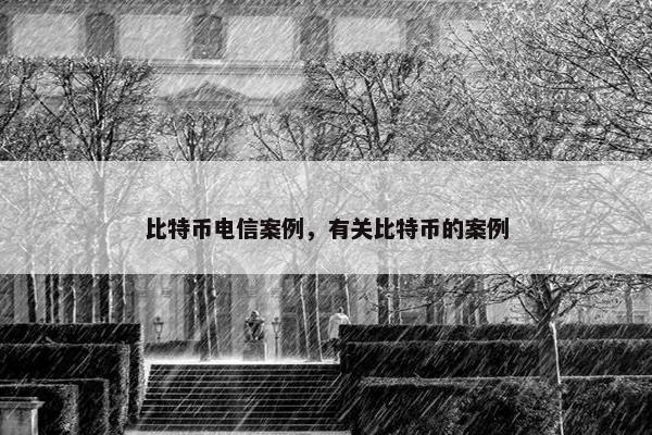 比特币电信案例，有关比特币的案例