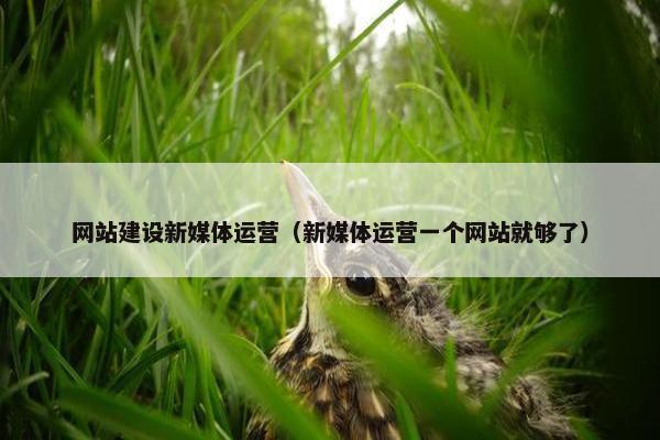 网站建设新媒体运营（新媒体运营一个网站就够了）