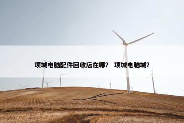 项城电脑配件回收店在哪？ 项城电脑城？