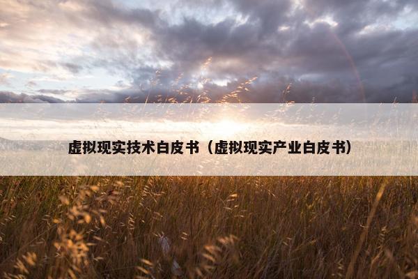 虚拟现实技术白皮书（虚拟现实产业白皮书）