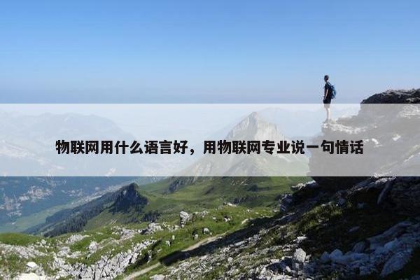 物联网用什么语言好，用物联网专业说一句情话