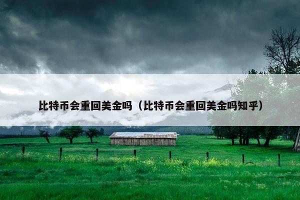 比特币会重回美金吗（比特币会重回美金吗知乎）