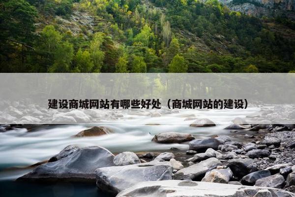 建设商城网站有哪些好处（商城网站的建设）