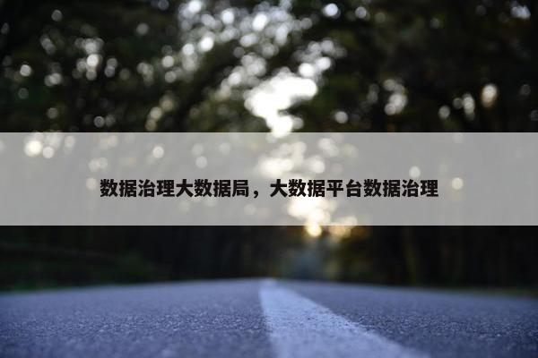 数据治理大数据局，大数据平台数据治理