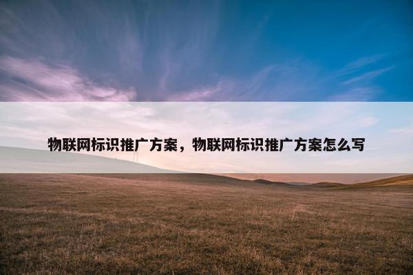 物联网标识推广方案，物联网标识推广方案怎么写