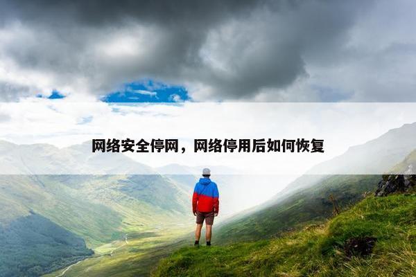 网络安全停网，网络停用后如何恢复