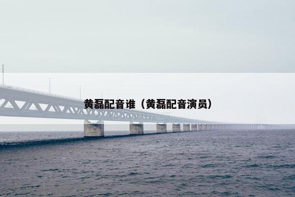 黄磊配音谁（黄磊配音演员）