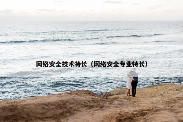 网络安全技术特长（网络安全专业特长）