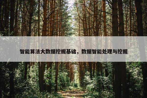 智能算法大数据挖掘基础，数据智能处理与挖掘