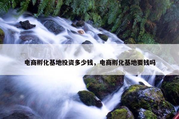 电商孵化基地投资多少钱，电商孵化基地要钱吗