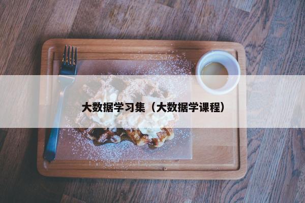 大数据学习集（大数据学课程）