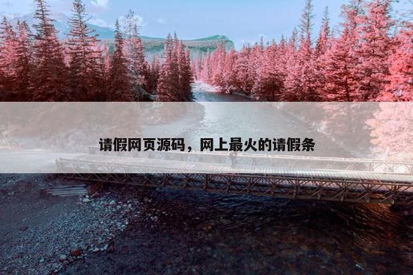 请假网页源码，网上最火的请假条