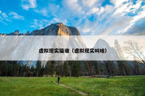 虚拟现实猫谁（虚拟现实叫啥）