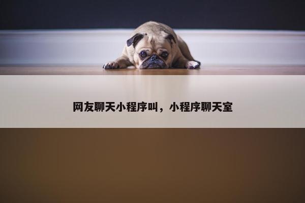 网友聊天小程序叫，小程序聊天室