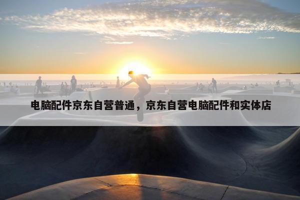 电脑配件京东自营普通，京东自营电脑配件和实体店