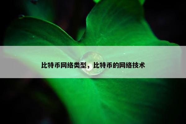 比特币网络类型，比特币的网络技术