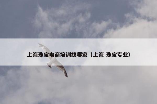 上海珠宝电商培训找哪家（上海 珠宝专业）