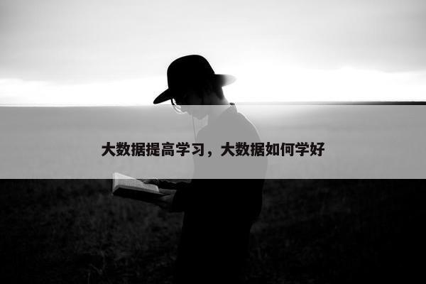 大数据提高学习，大数据如何学好