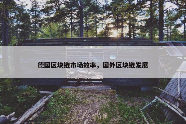 德国区块链市场效率，国外区块链发展