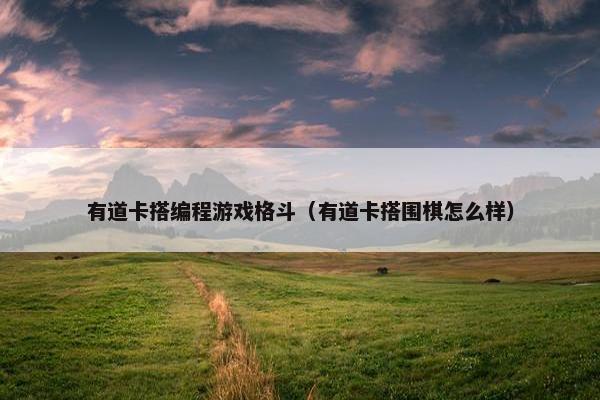 有道卡搭编程游戏格斗（有道卡搭围棋怎么样）