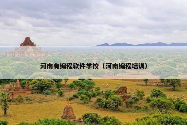 河南有编程软件学校（河南编程培训）