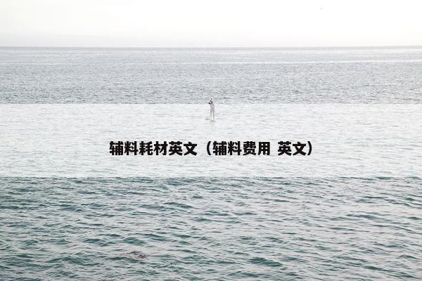 辅料耗材英文（辅料费用 英文）