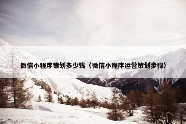 微信小程序策划多少钱（微信小程序运营策划步骤）