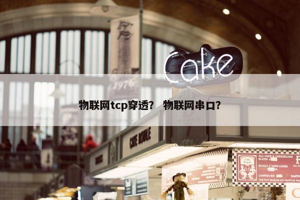 物联网tcp穿透？ 物联网串口？