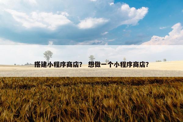 搭建小程序商店？ 想做一个小程序商店？