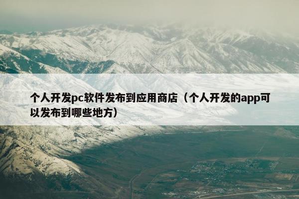 个人开发pc软件发布到应用商店（个人开发的app可以发布到哪些地方）
