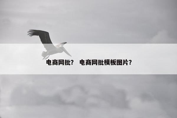 电商网批？ 电商网批模板图片？
