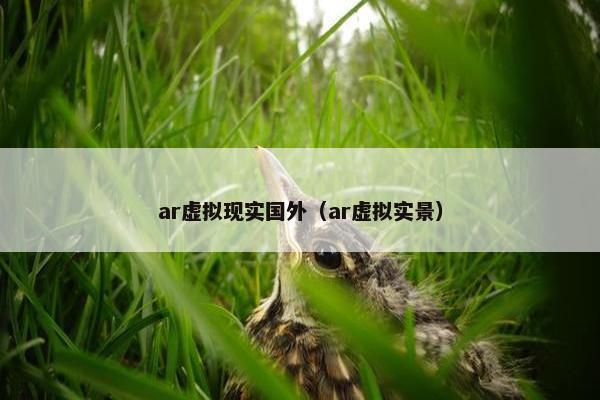 ar虚拟现实国外（ar虚拟实景）