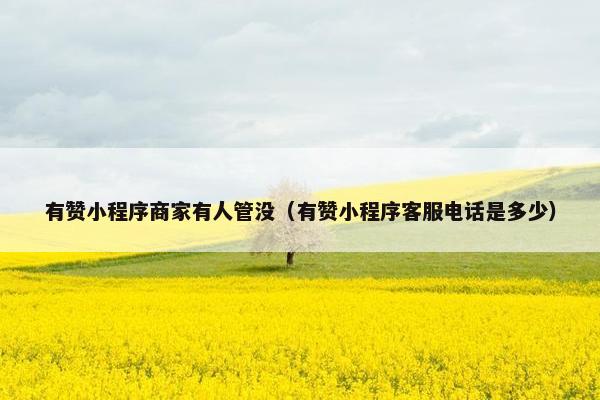 有赞小程序商家有人管没（有赞小程序客服电话是多少）