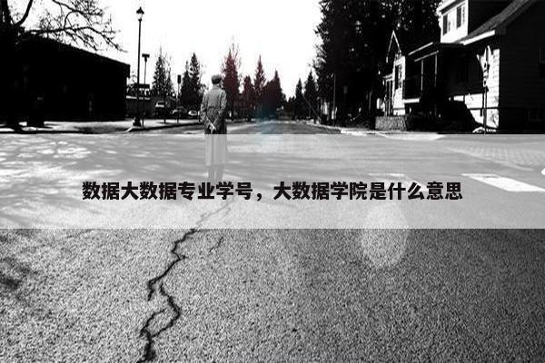 数据大数据专业学号，大数据学院是什么意思