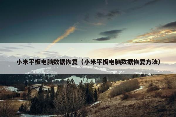 小米平板电脑数据恢复（小米平板电脑数据恢复方法）